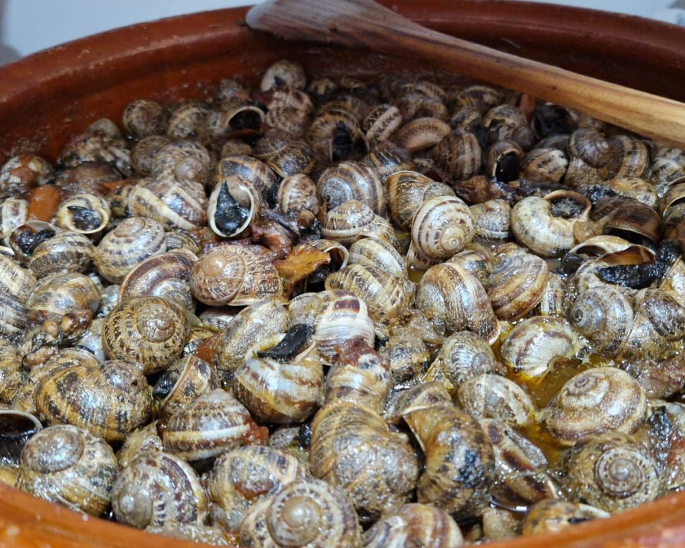 Caracoles